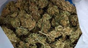 La FELCN decomisa en Oruro 164 kilos de marihuana valuados en $us 130 mil