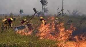 En el país no hay incendios, pero aumentan los focos de calor, según el Gobierno 1
