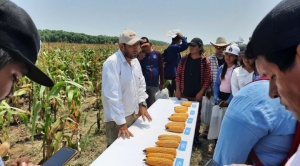 Expo Agro del Norte 2023 destaca el esfuerzo de los productores por promover cultivos sostenibles