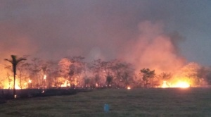 Comunarios del Madidi piden ayuda nacional e internacional para poder enfrentar los incendios 
