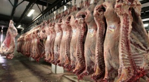 Gobierno garantiza abastecimiento de carne de res y a precios estables