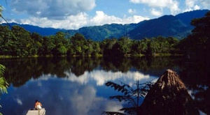 La ONU premia a un proyecto medioambiental peruano que rehabilita bosques en los Andes