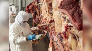 Fegasacruz pide al Gobierno buscar más mercados para la exportación de carne de res