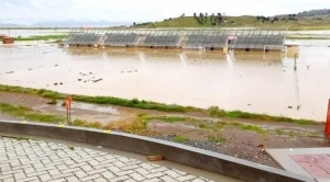 Al menos 40 viviendas fueron dañadas por las lluvias en Huarina que se declara en alerta roja