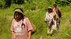 Tras la pandemia, Bolivia no logra remontar al índice de desarrollo humano que tenía en 2019