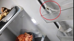 Intendencia clausura restaurante en la Evaristo Valle por encontrar cucarachas en refrigeradores