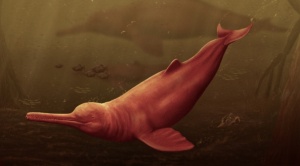 Descubren una nueva especie de delfín gigante que vivió hace 16 millones años