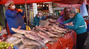 Tome nota de estas recomendaciones para comprar pescados y mariscos frescos 