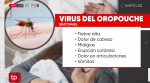 Reportan 22 contagios del oropouche en tres municipios de los Yungas de La Paz