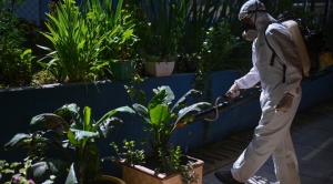 Brasil supera los tres millones de casos de dengue este año