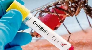 Suman 11 muertes por dengue en el país y recomiendan acudir de inmediato a centros de salud 1