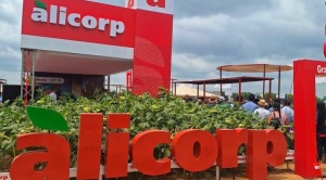 Multinacional Alicorp informa que hay “expresiones de interés” para la venta de su molienda