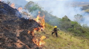 Procuraduría anuncia el pronto inicio de la reversión de tierras por incendios ilegales ¿Cuáles son esas propiedades?