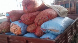 Gobierno detecta “contrabando  hormiga” de verduras y otros productos  hacia la frontera de Argentina