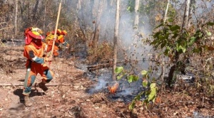 Reportan 3.100 focos de calor y Gobierno activa alerta de incendios forestales, tres regiones fueron afectadas 1