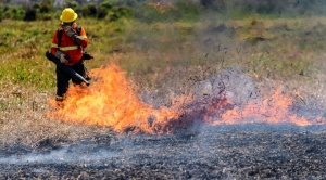 Incendios en Bolivia, Paraguay y Brasil provocan las más altas emisiones de CO2 en 20 años 1