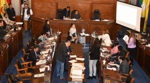 Legisladores de la comisión mixta en una fotografía de archivo. Foto: ABI 1