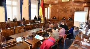 Choquehuanca convoca a jefes  de bancada y a comisiones mixtas para tratar  las elecciones judiciales