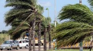 El Senamhi dicta 2 alertas naranjas por fuertes vientos en 6 departamentos 