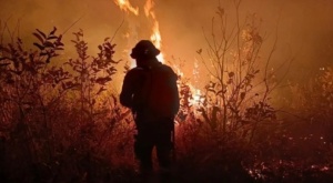 Roboré se declara en estado de "desastre municipal"; 30 incendios en 11 municipios