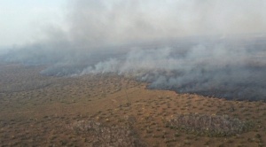 Arce anuncia la llegada de ayuda de Brasil y Chile para combatir incendios 1