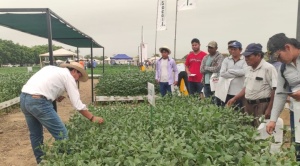 Exposoya del Norte fortalece el aporte de la ZonaIntegrada de Santa Cruz a la producción del país 1