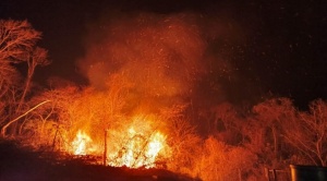 Lectores de Brújula Digital piden al Gobierno declarar desastre nacional por incendios 1