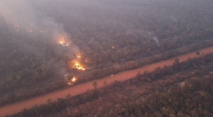 Tras reunión con empresarios, Procuraduría suspendió reversión de tierras por incendios ilegales a 40 propiedades 1