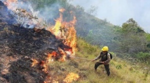 INRA advierte que el 59% de las “cicatrices de quema” se encuentran en Santa Cruz 1