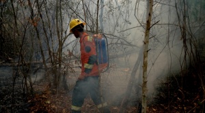 Defensoría pide al Gobierno que declare desastre nacional por los incendios forestales 1