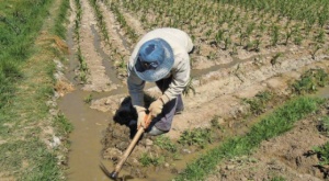 Una auditoría ambiental reveló la mala calidad del agua y acciones poco efectivas de las instituciones 1