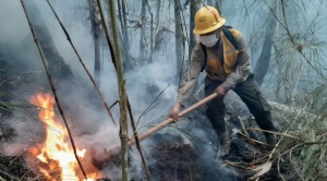 Tigo se suma a lucha contra incendios y habilita llamadas solidarias sin costo en las áreas más afectadas  1