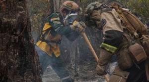 En Santa Cruz han sido devastadas por el fuego 7 millones de hectáreas, dijo el COED 1