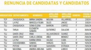 Once postulantes renuncian a las elecciones judiciales, dejando en carrera a 128 candidatos 1