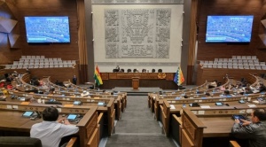 Diputados aprueban crédito de $us 75 millones para la gestión de riesgos y desata controversias sobre su destino 1