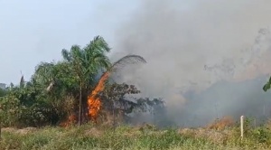 Incendio en Rurrenabaque moviliza a los vecinos que intentan apagar las llamas 1