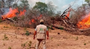 Gobierno ve que detrás de las quemas hay  gente que busca traficar tierras o generar un  ambiente de descontento social y político 1