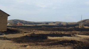 Incendios en Huarina consumen pastizales, pobladores piden ayuda a las autoridades 1