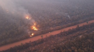 Experto advierte que incendios quemaron hasta sistemas agroforestales y prevé crisis alimentaria e hídrica  1