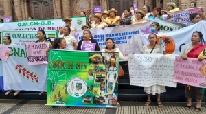 “No estamos festejando, estamos llorando”: marcha  de mujeres indígenas dice “basta a los incendios” 1