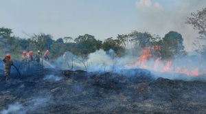 |OPINIÓN|Incendios forestales, tráfico de tierras y crimen organizado|Rodrigo Muñoz Reyes| 1