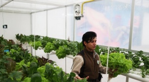 Producción sostenible de alimentos y tecnología en el primer “Huerto Smart” de Bolivia 1