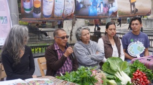 Estudio revela que el 43% de los  alimentos agrícolas de Cochabamba  tiene residuos de al menos un plaguicida  1