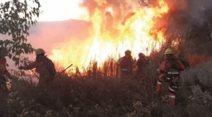 Gobierno reporta 41 incendios y advierte que las llamas “están migrando” a Beni 1