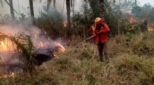 ChildFund Bolivia garantizará agua y medicamentos para comunidades indígenas de la Nación Chiquitana afectadas por incendio 1