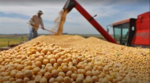 CEPB destaca impulso a la agroindustria y los biocombustibles con el uso de la biotecnología en la soya 1