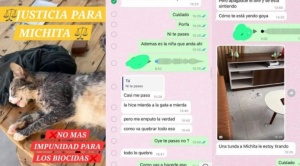 Fiscalía emite orden de aprehensión contra hombre que mató a un gato en Santa Cruz 1