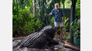 El cocodrilo más grande del mundo fallece en Australia, tenía 110 años 1