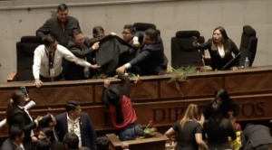 Se suspende sesión en la Asamblea Legislativa tras aventar tomates y flores a Choquehuanca 1