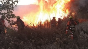 Relatoría de la CIDH anuncia visita a Bolivia  para evaluar impactos de los incendios 1